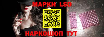 прущие грибы Будённовск