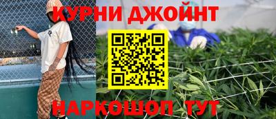 прущие грибы Будённовск