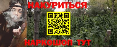 прущие грибы Будённовск