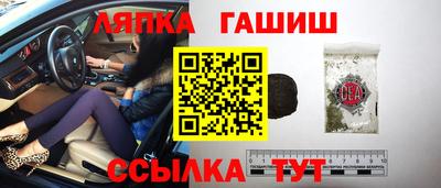прущие грибы Будённовск
