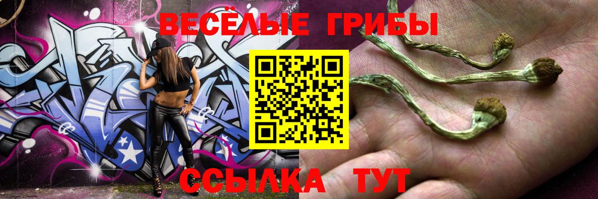 Псилоцибиновые грибы прущие грибы Баксан