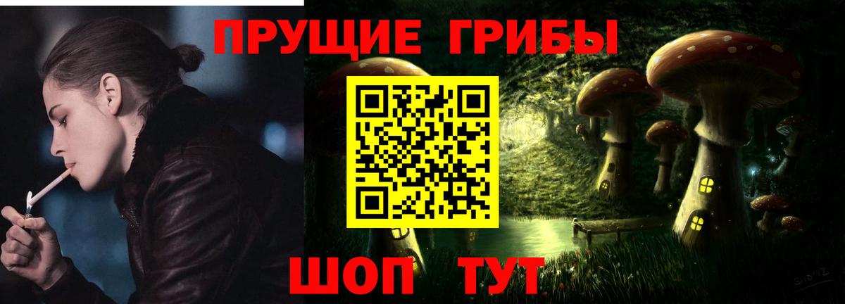 Псилоцибиновые грибы Cubensis  Псилоцибиновые грибы Cubensis  купить  цена  Баксан  Вход с VPN 