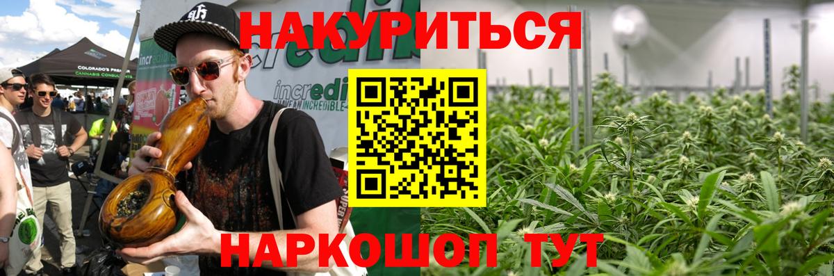Конопля Bruce Banner Баксан
